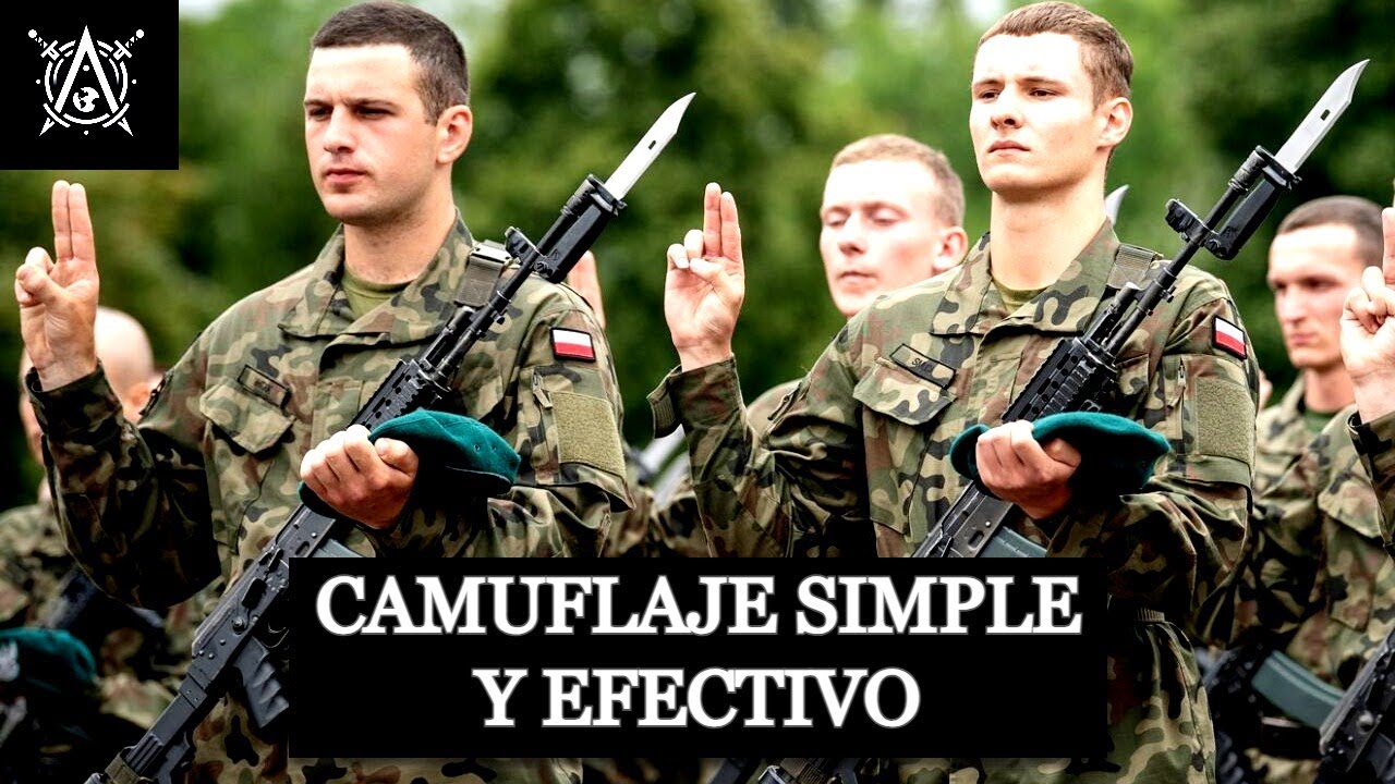 Evolución del Camuflaje en Polonia en 2 minutos | Camuflajes del Mundo