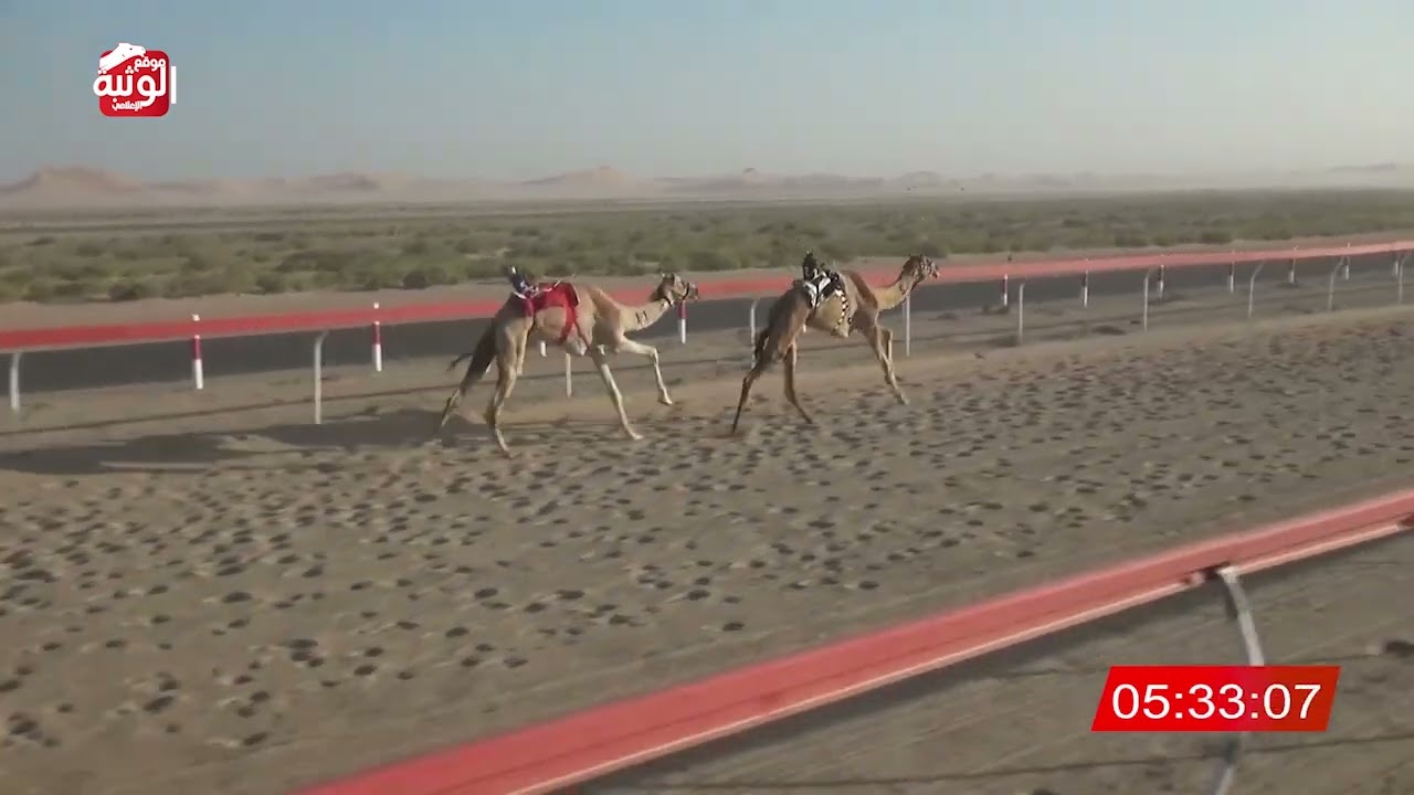ش 6 (الواصله) لـ احمد مطر بن ماجد طارش الخييلي 8:10 ، شارة الديوان 2026/2/15 إيذاع رماح