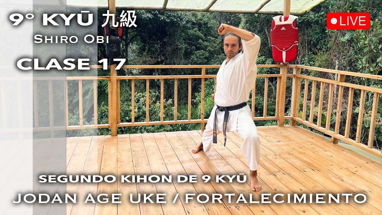 CLASE 17: SEGUNDO KIHON 9 KYŪ / JODAN AGE UKE + Técnicas de fortalecimiento