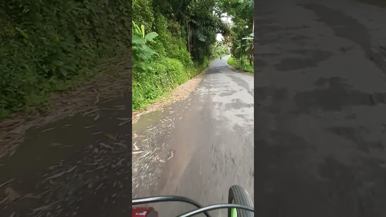 Balek  seko nglimut