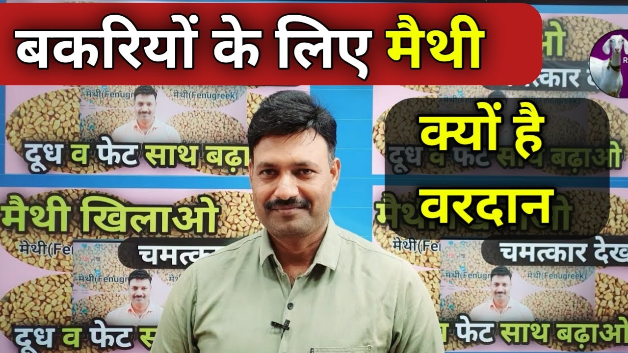 Bakri ko maithi khilane ke fayde
