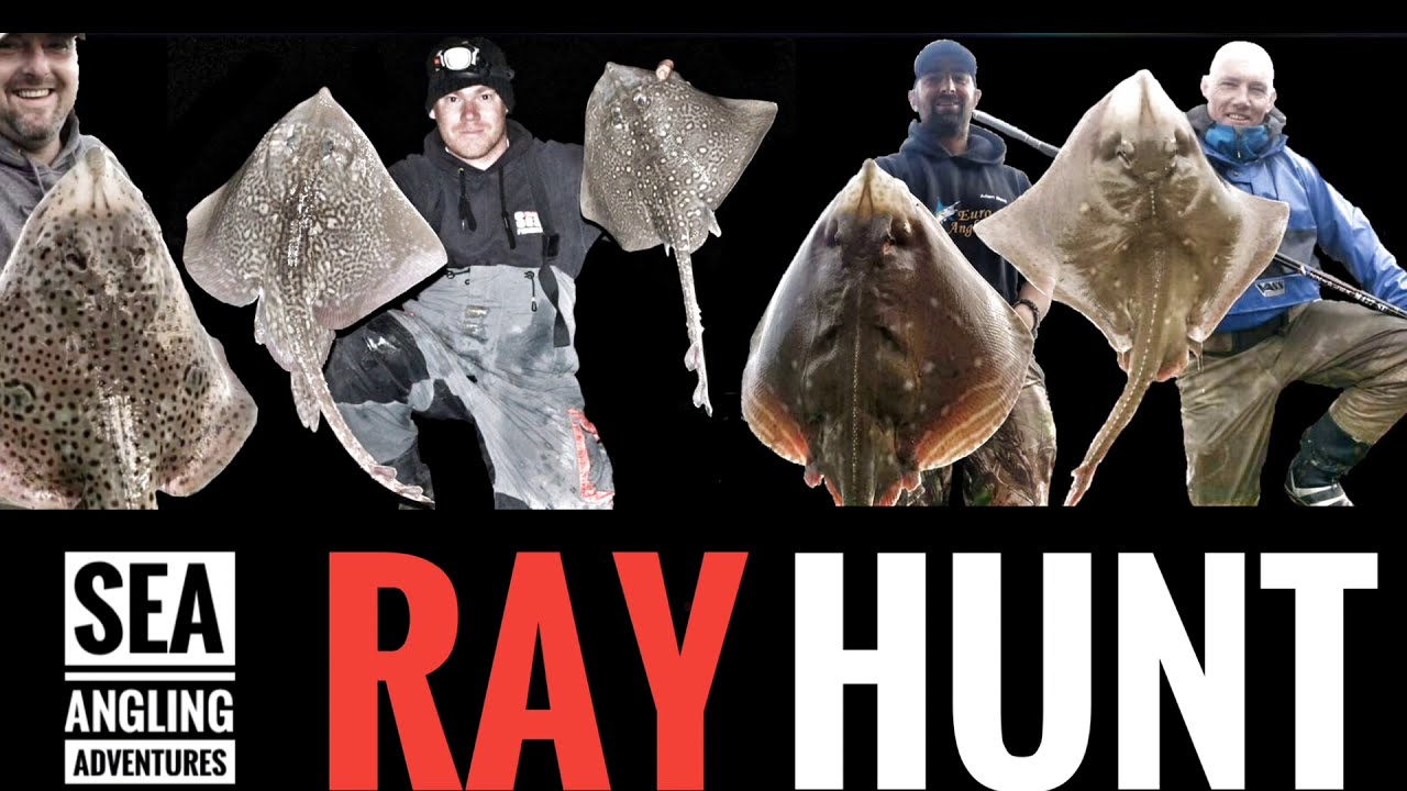 Sea Fishing Videos Uk | Ray Hunt :11lb 8oz Small Eyed Ray