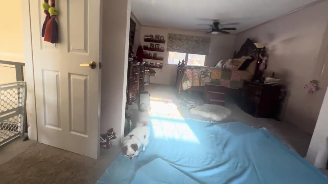 Fenzi NW FUNdamentals Wk 1 Surface with 3D Maurice 