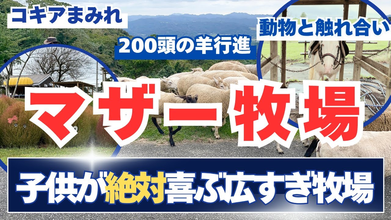 【驚愕のマザー牧場秘密の体験】千葉　マザー牧場　観光や子連れのおすすめスポット