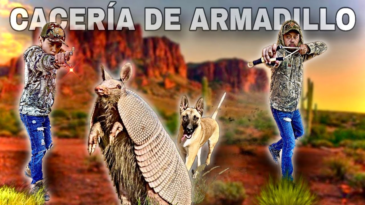 Cacería de ARMADILLO con RESORTERA // Tradicional VS Profesional
