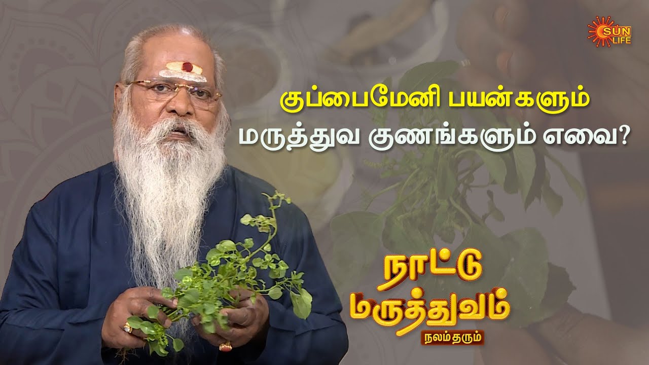 Medical Benefits & Uses of Kuppaimeni | Naattu Maruthuvam | Sun Life TV