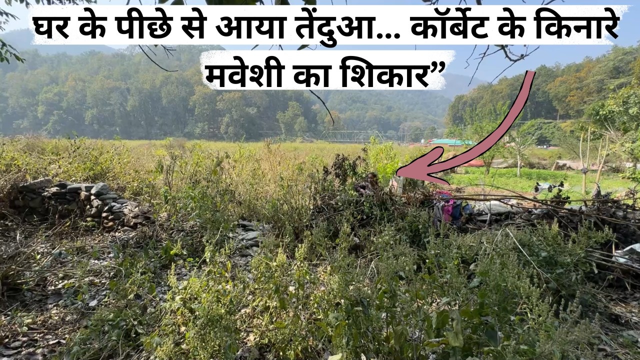 कॉर्बेट पार्क के सबसे किनारे वाले घर में तेंदुए ने मवेशी मार दिया – आंटी ने बताया अटैक कहाँ से हुआ