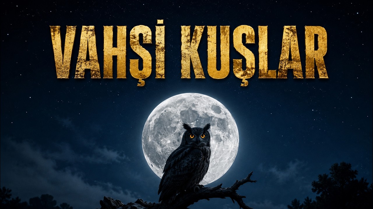 Dünyanın En Etkileyici Kuşları | Vahşi Yaşam - 4K Tam Belgesel