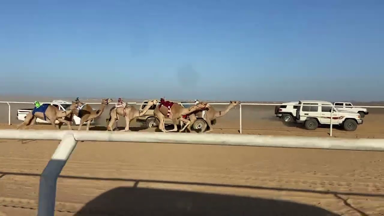 الشوط الاول قعدان مفاريد ١٥٠٠ عديم ل سيف بن سلمان الشوامين التوقيت ٢/١٦