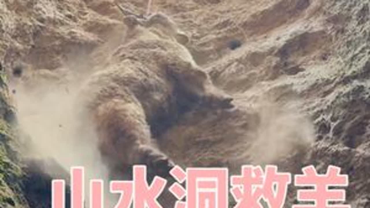 羊掉进了10多米的山水洞，父子三人齐心协力，用什么办法解救出来的？