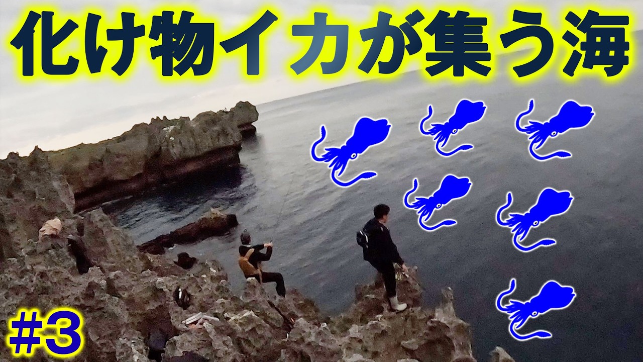 【#3】化け物イカがウヨウヨいる磯で一発逆転の大物を狙え！【第二弾 車中泊キャノンボール大会】