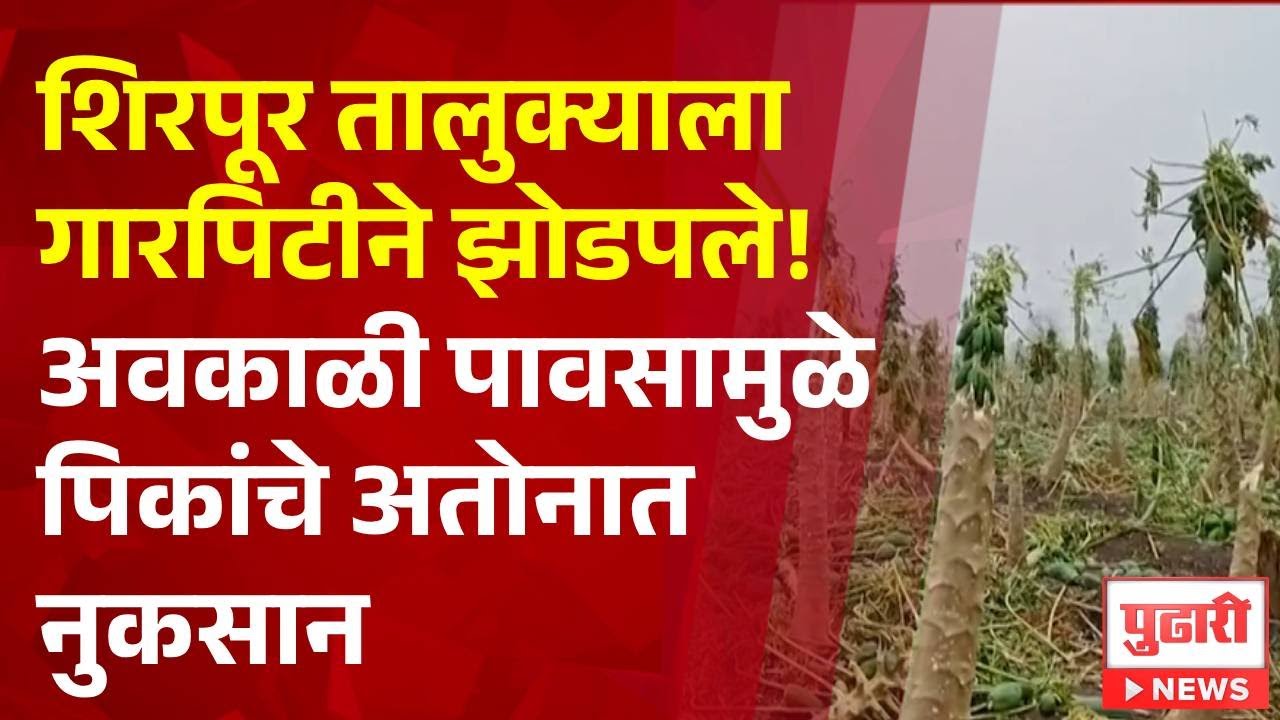 Pudhari News | शिरपूर तालुक्याला गारपिटीने झोडपले!अवकाळी पावसामुळे पिकांचे अतोनात नुकसान