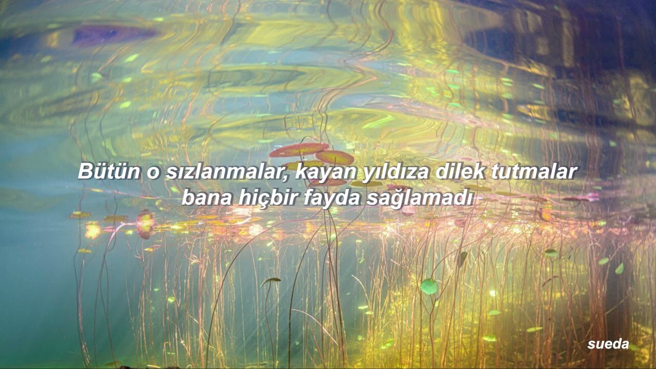 Taylor Swift - Wood (Türkçe Çeviri)