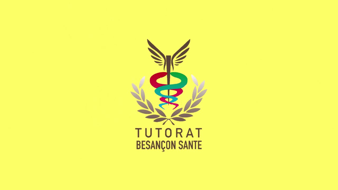 Tut'méthodo UE7 (rediffusion ED 15/01/2021) : Une bonne note en Rédac d'UE7, c'est possible !