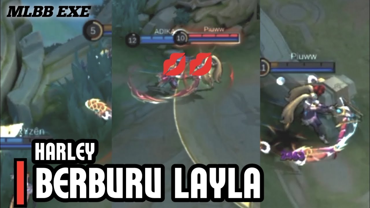 BOCIL HARLEY BERBURU T4NTE LAYLA🗿 |  MLBB MEME EXE