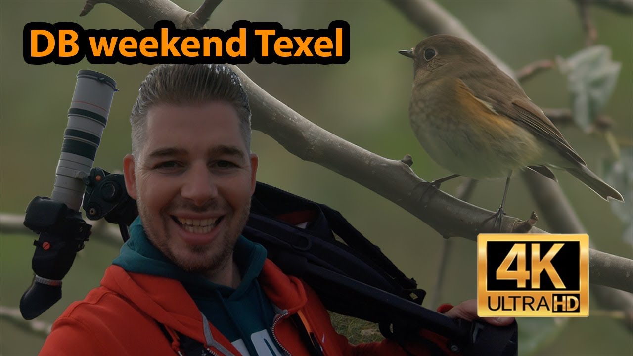 De Mooiste en Zeldzaamste vogels van het Dutch Birding Vogelweekend Texel 2023