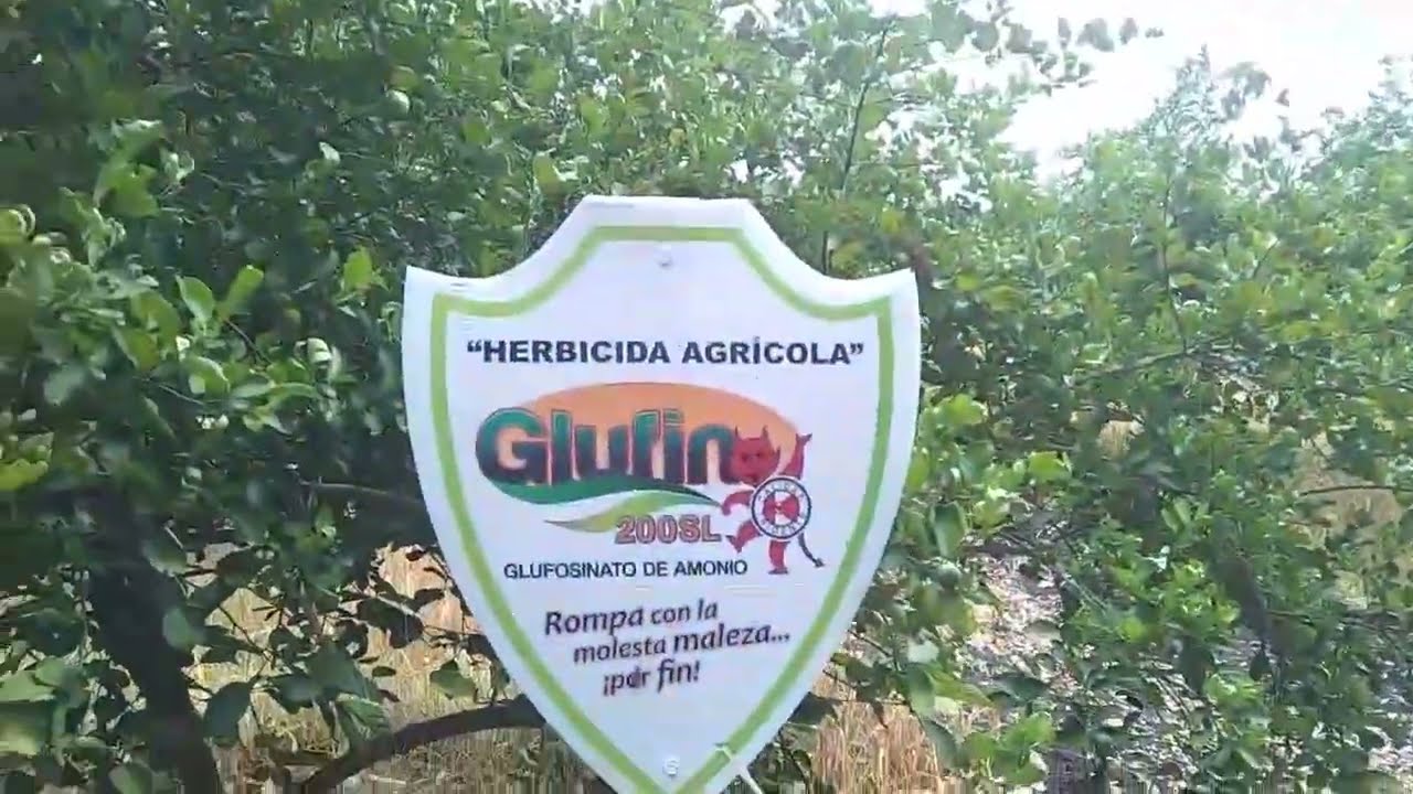 Control de malezas con herbicida glufin