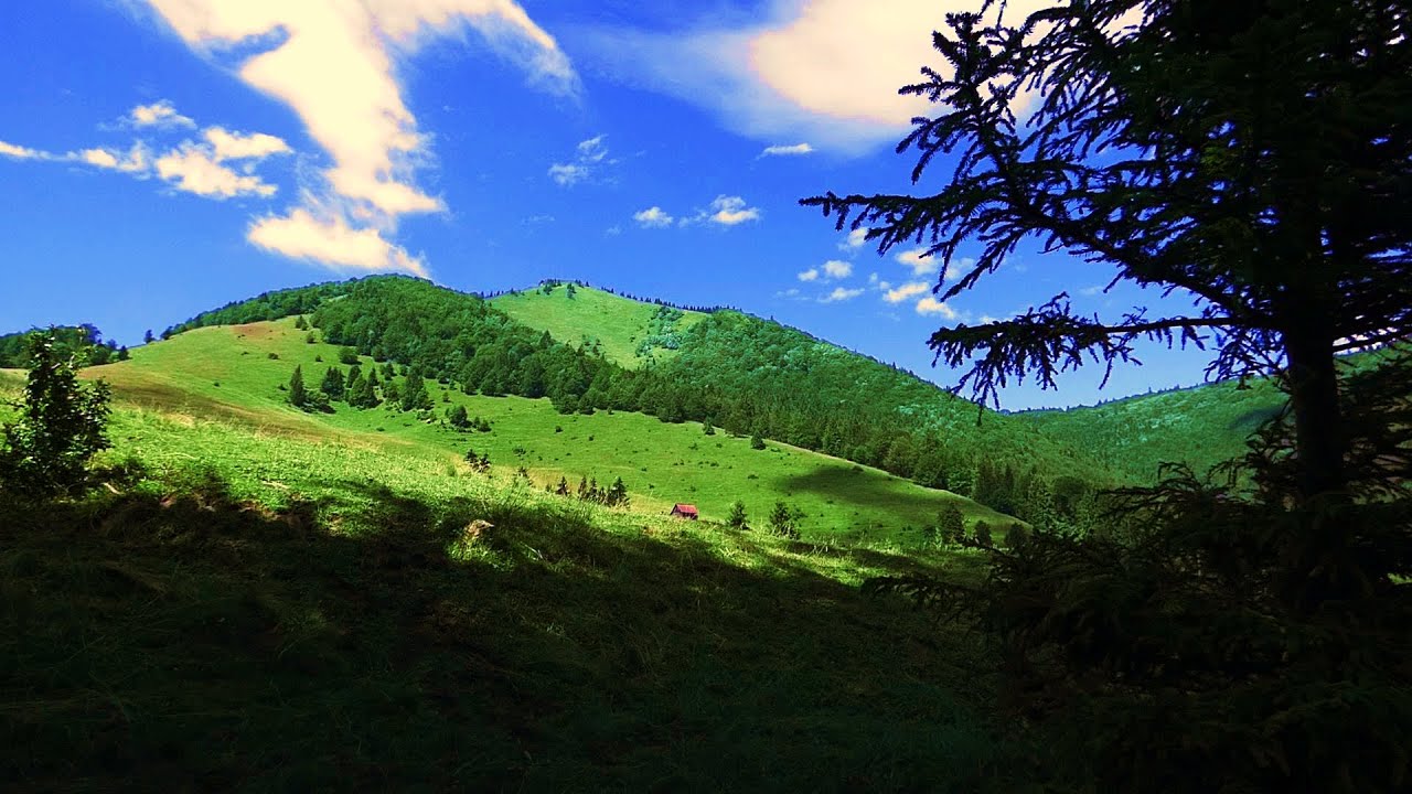 /OSNICA\ 1363 m n. m. Q/Malá Fatra\ najkratšia trasa || Sólo túra z Lučivnej s nádherným výhľadom