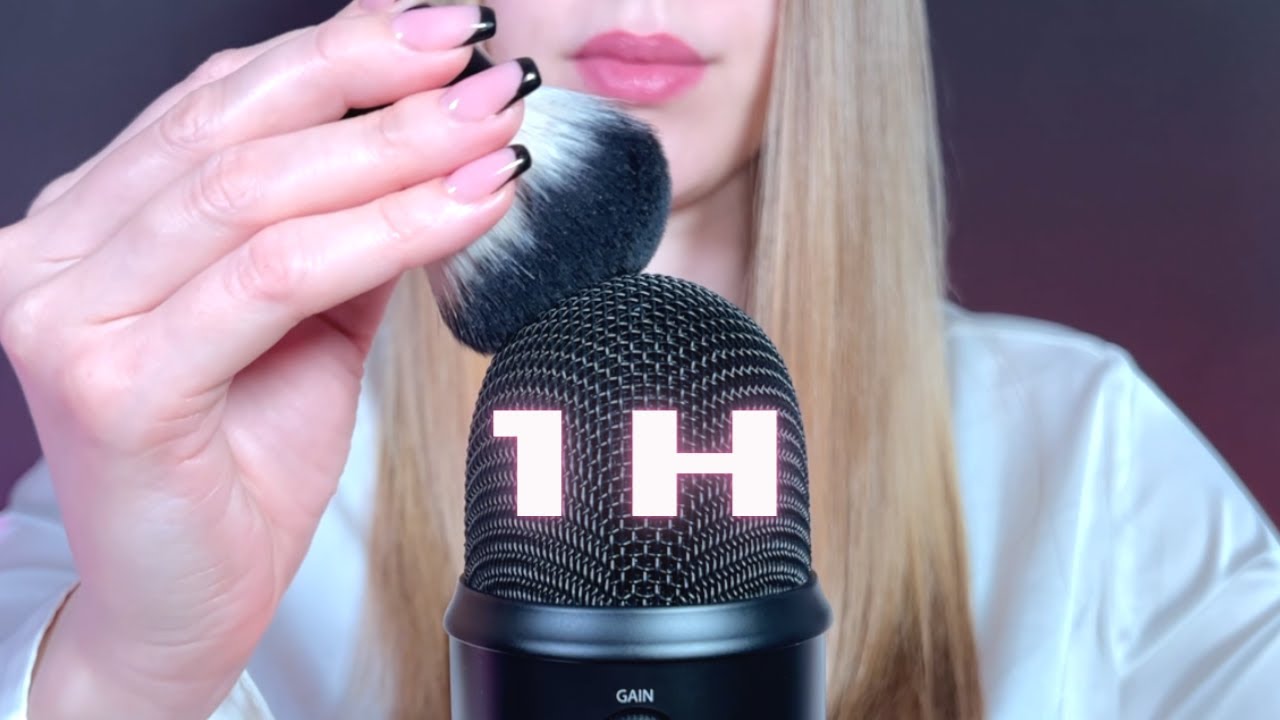 [ASMR] 1 Hour Intense Mic Brushing (no talking)