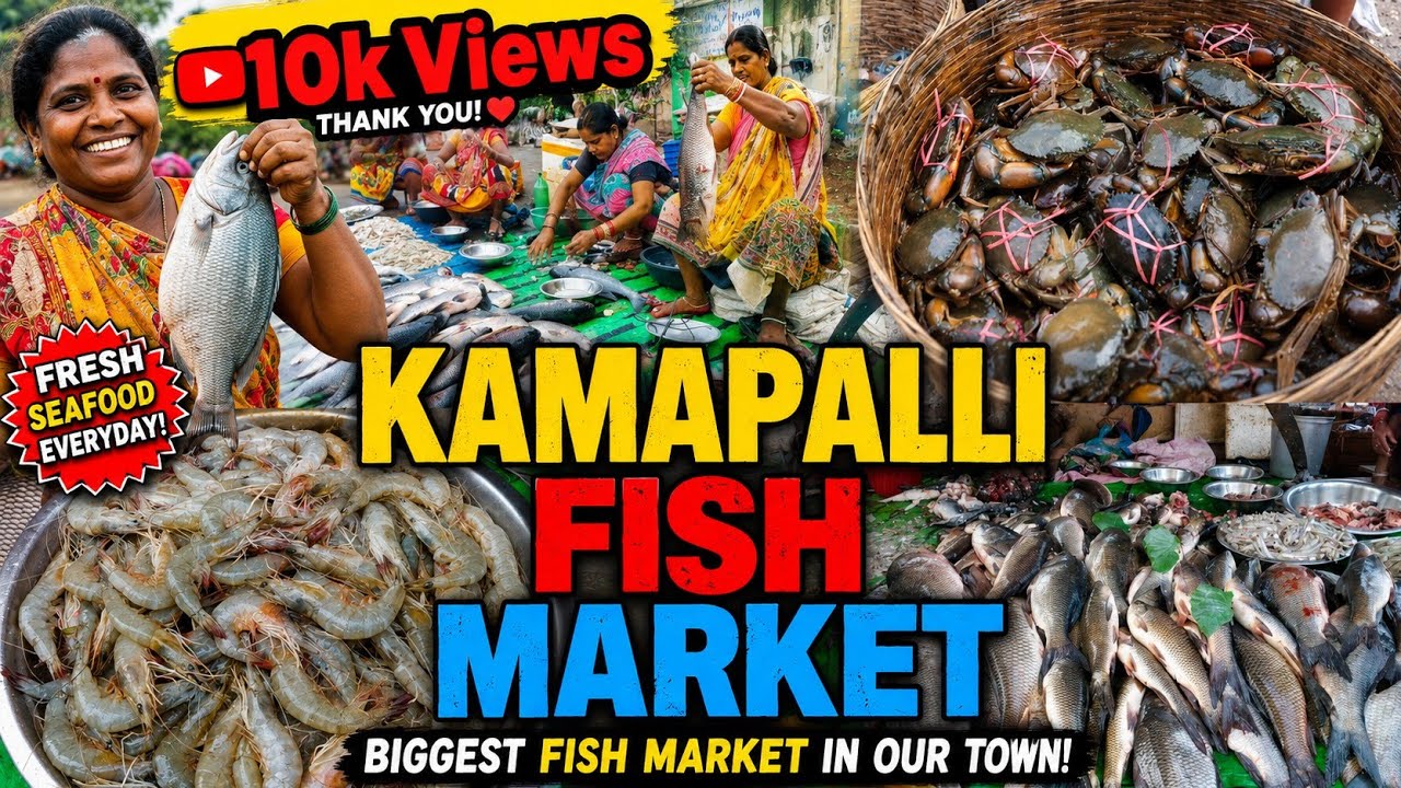 Kamapalli Fish Market|Biggest Fish Market in Berhampur|Berhampur Food|Eat Fit Life-JP