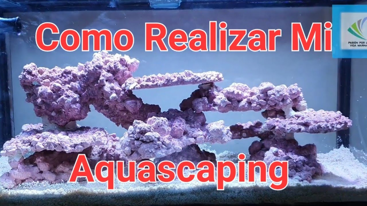 Aquascaping para mi acuario marino ( af rock aquaforest), como realizarlo y acomodarlo .