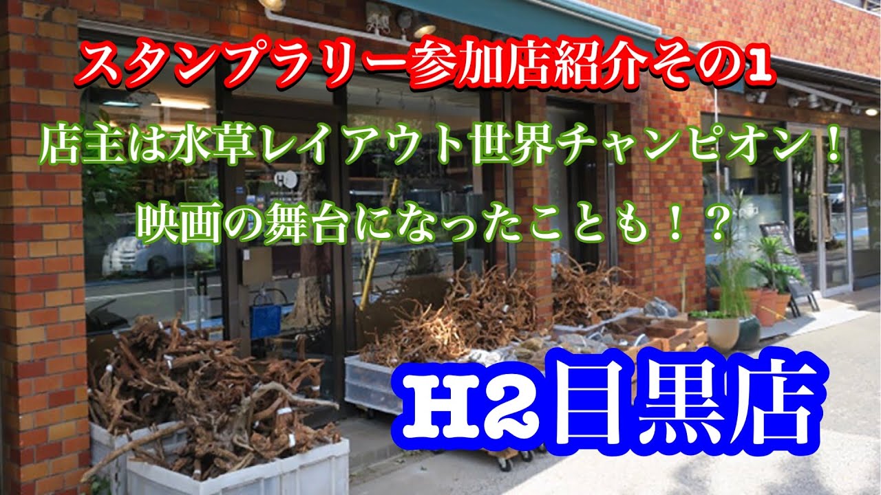 アクワクスタンプラリー参加店紹介その① H2目黒店