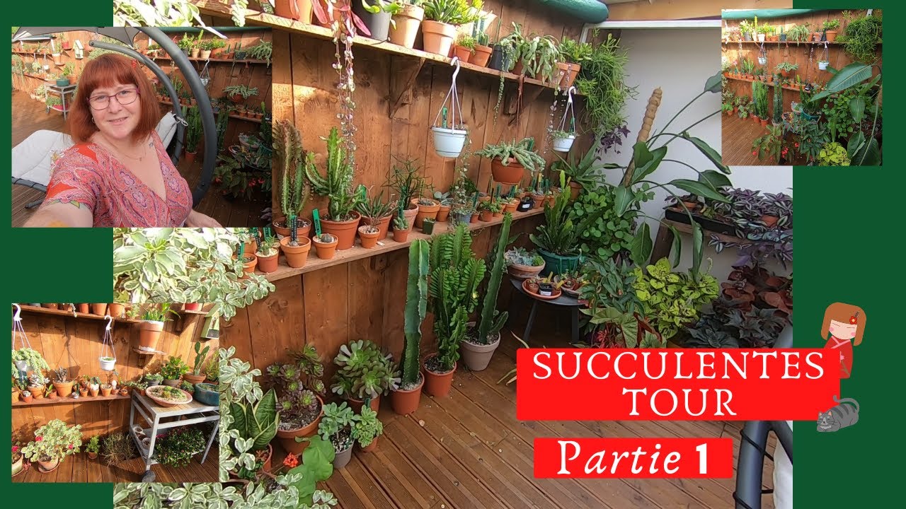 Plant tour | Mes succulentes🌵 Partie 1🌵 On fait le tour des Plantes Grasses et Cactées en extérieur