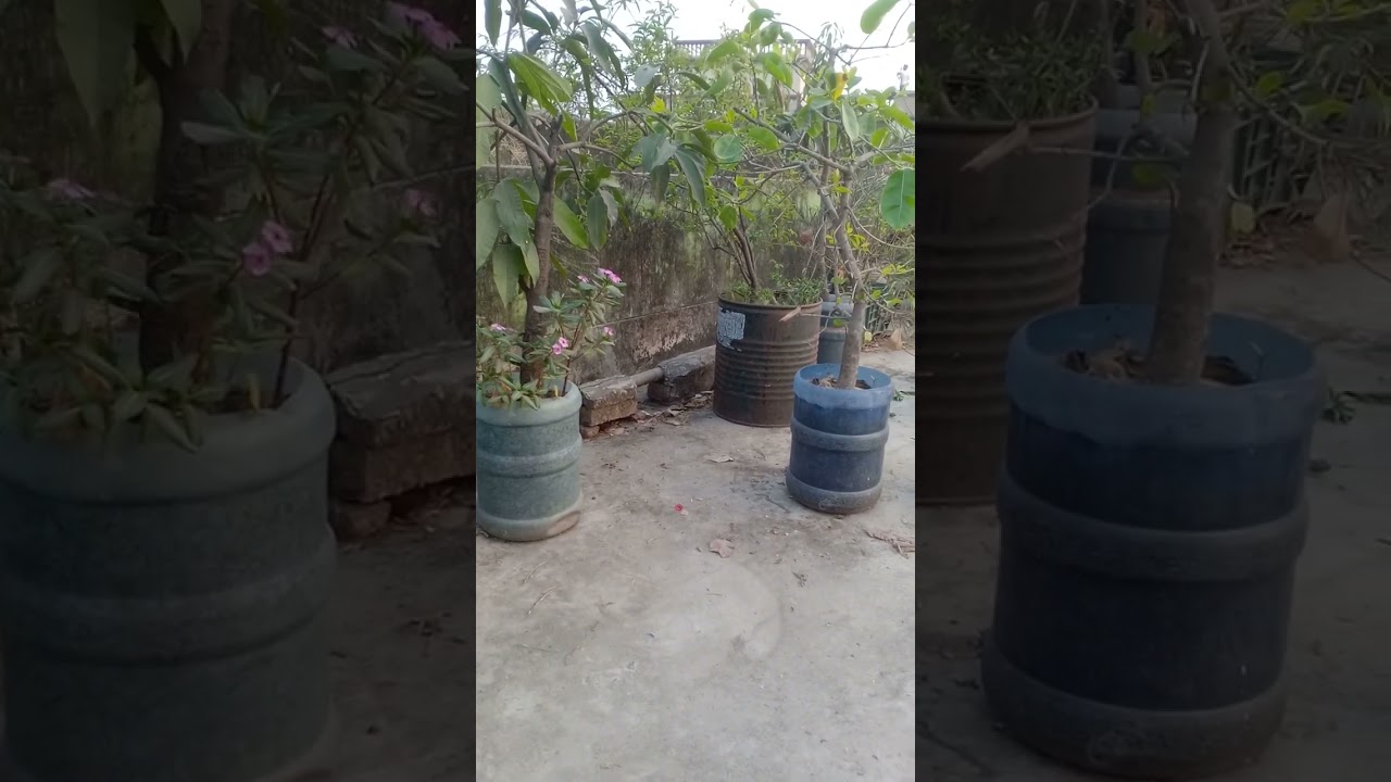 ভালো হোক মন্দ হোক বাবা আমার বাবা
