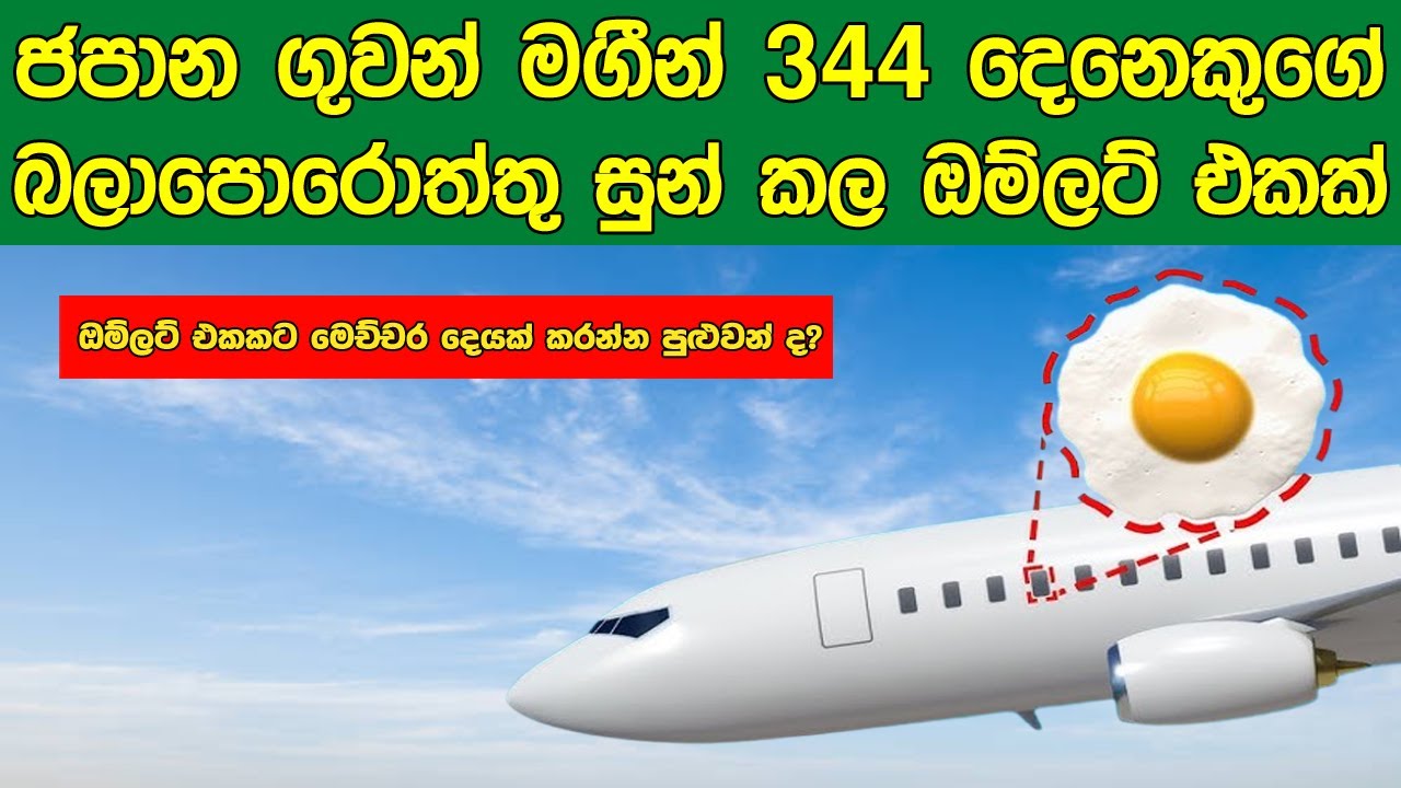 මගීන් 344 දෙනෙකු රැගත් ගුවන්යානයක් හදිසියේම ගොඩබස්වන්නට හේතු වුන ඔම්ලට් එකක් | Sath Samudura