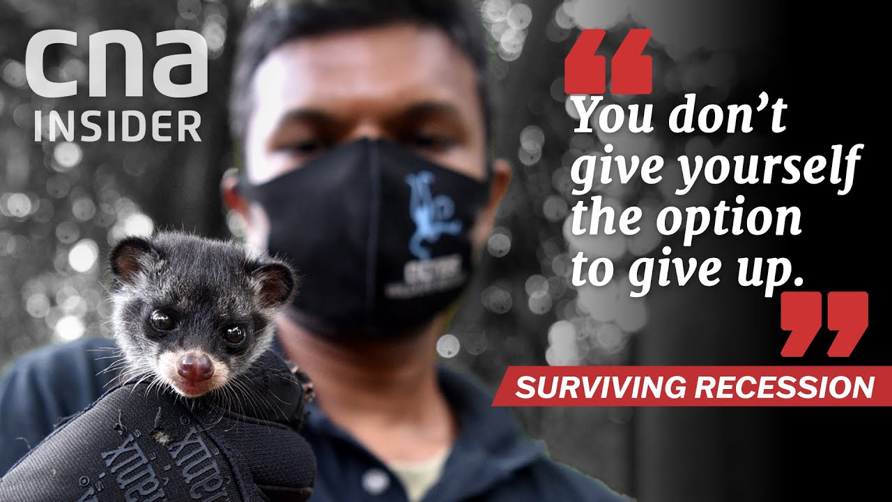I Was Burnt Out - But Wildlife Rescue Work Must Go On | Surviving Recession