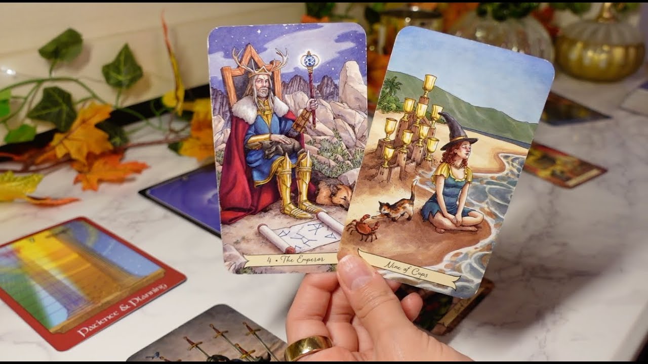 СТРЕЛЕЦ: Вы собираетесь выйти за рамки, которых никогда не ожидали достичь. Родился ИМПЕРАТОР 👑💫