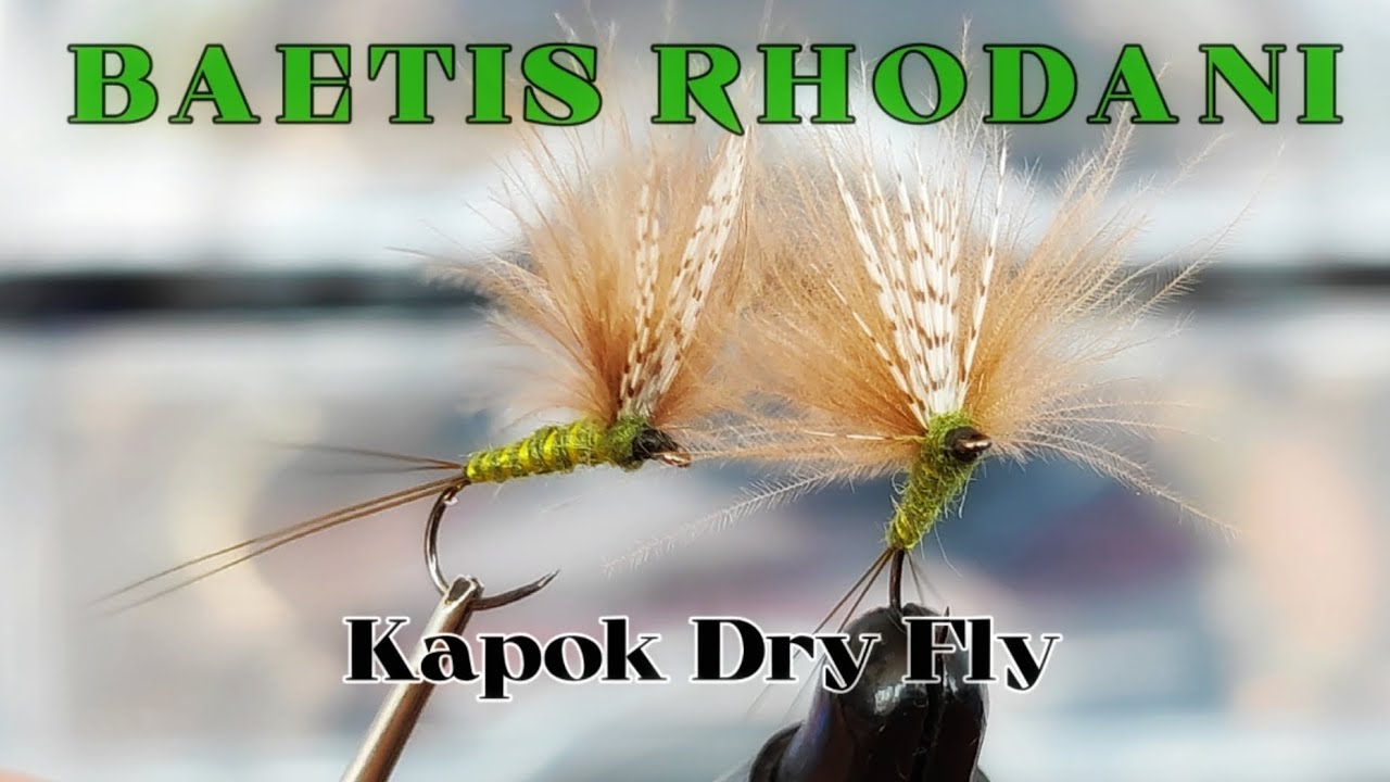 *Montaje de moscas: ¿Cómo montar una Baetis Rhodani excelente? Fly tying.