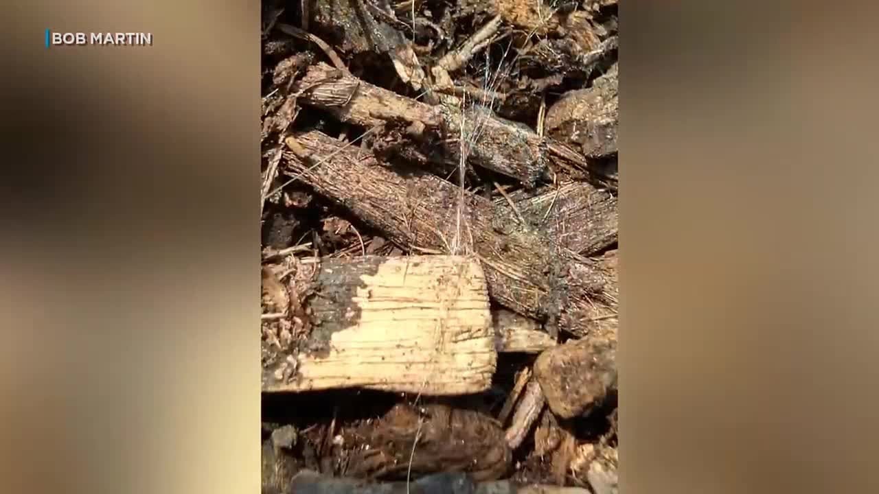Pele’s hair found after Kilauea’s 13th episode