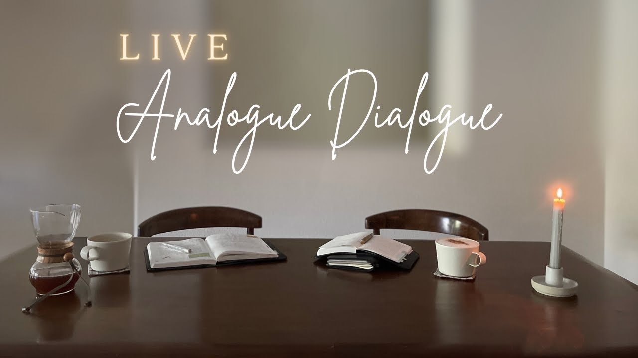 Analogue Dialogue // Current Analogue Setups with Emil and Eunice