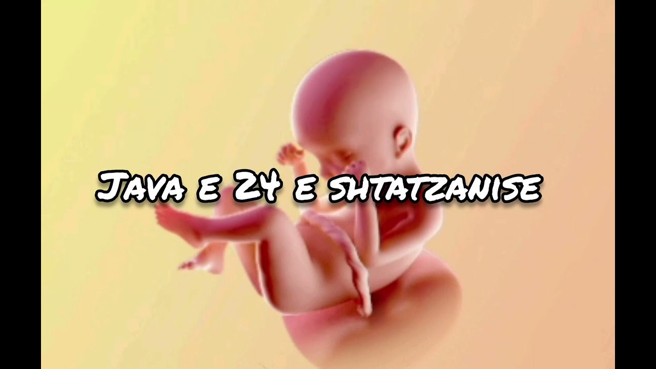 Java e 24 e Shtatzanise. Cfare pritet te ndodhe gjate kesaj jave?