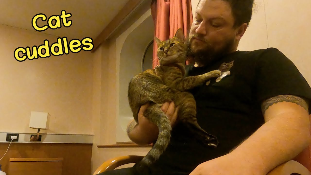 CUDDLES with NALA 😻⛴️