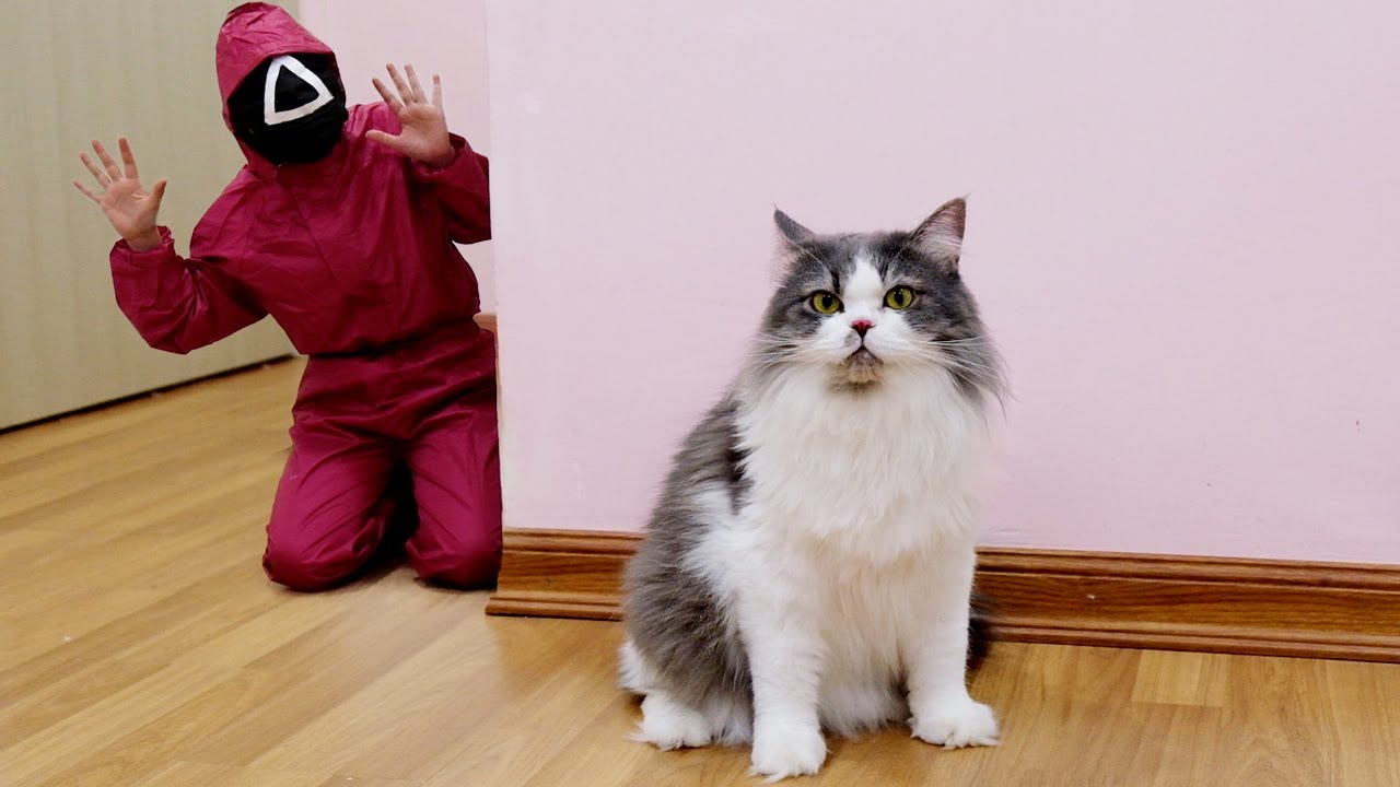 Cats Vs Pink Soldier