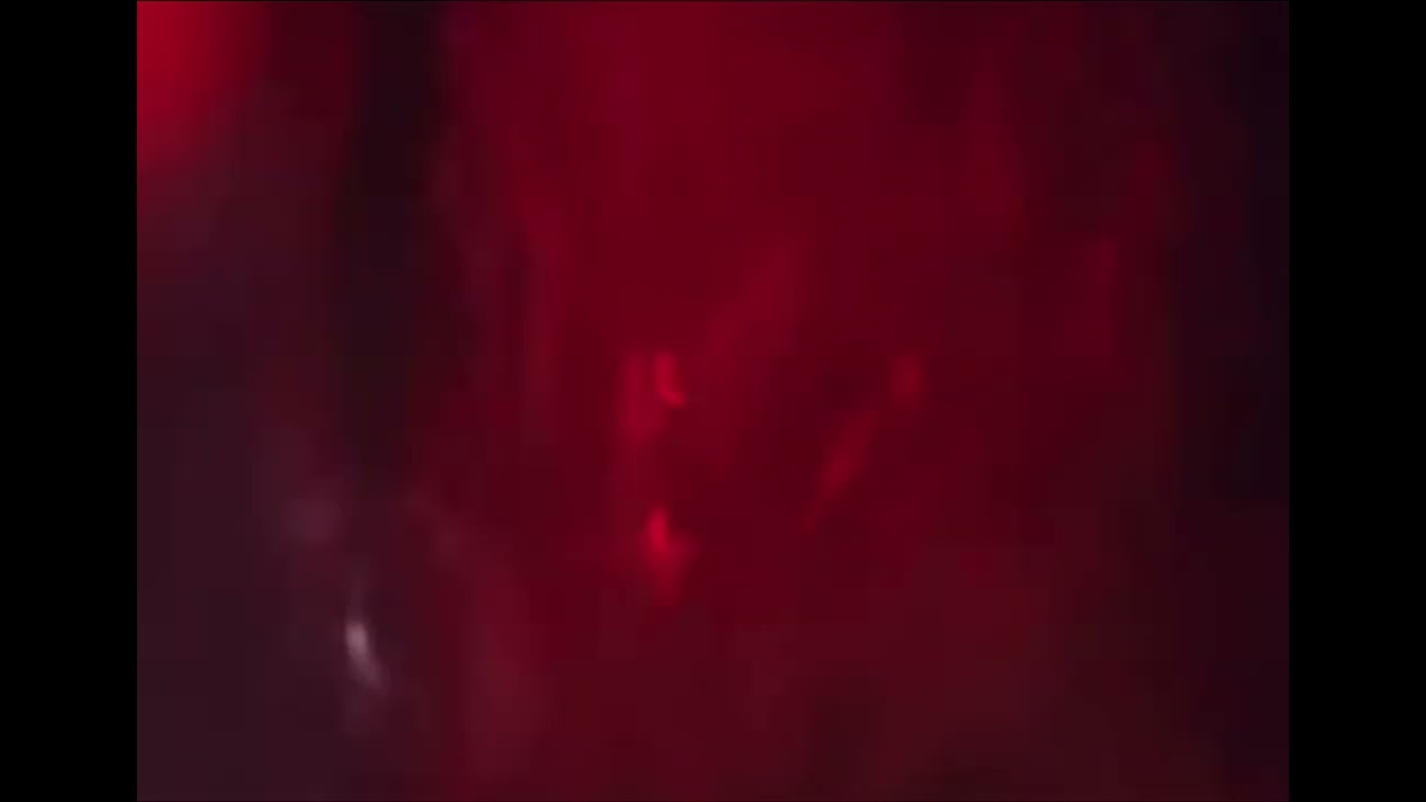 Cow eats GoPro 5 (unknown footage)