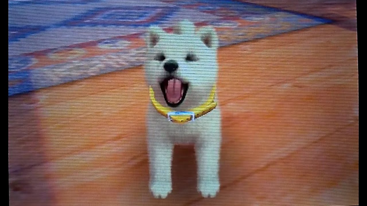 Nintendogs+cats : un nouveau départ !