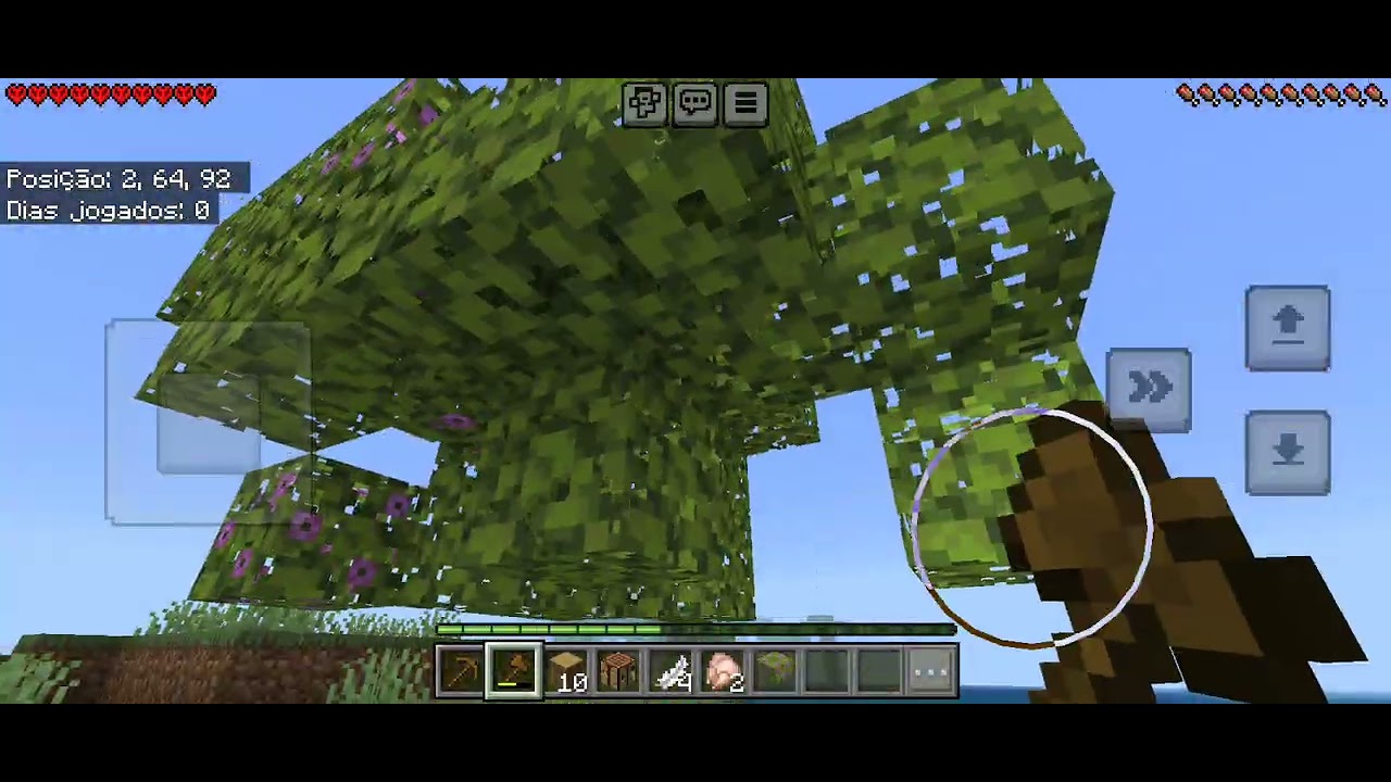 Minecraft_5