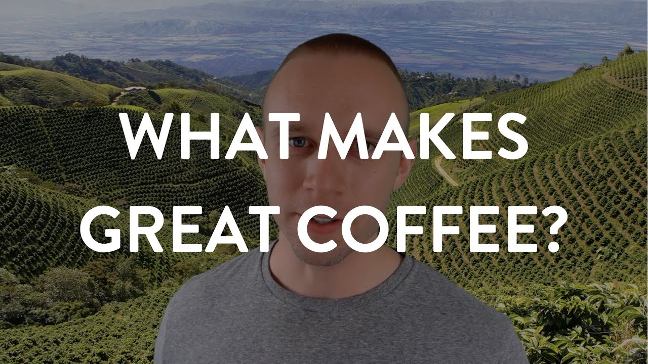 What Makes Great Coffee? Analyzing all the qualities of coffee to learn makes a high-quality brew.