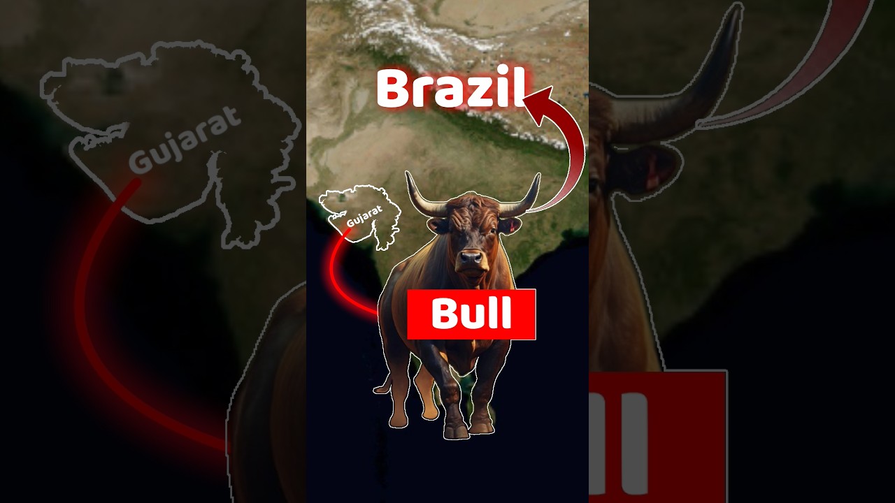 How Gujarat Changed Brazil? #shorts #upsc