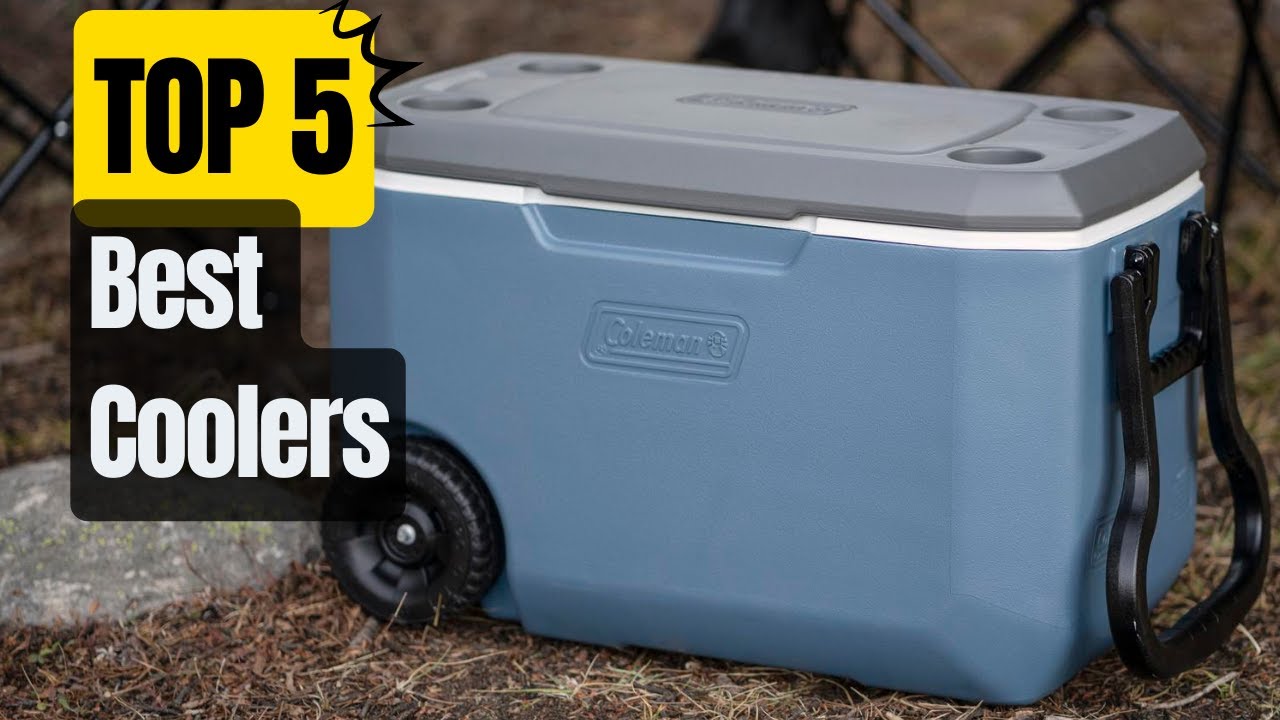 Top 5 Best Coolers in 2023