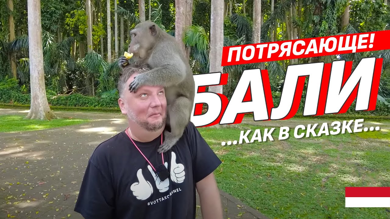 ПОТРЯСАЮЩИЙ БАЛИ! ЛЕС ОБЕЗЬЯН, ОЗЕРА, ВОДОПАД И ДР. BALI 2023