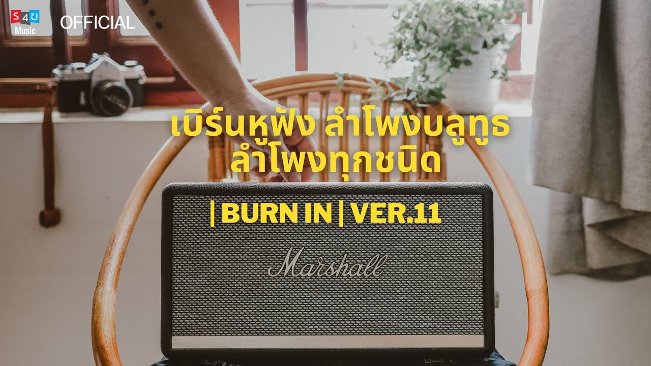 เบิร์นหูฟัง ลำโพงบลูทูธ ลำโพงทุกชนิด | Burn In | Ver.11