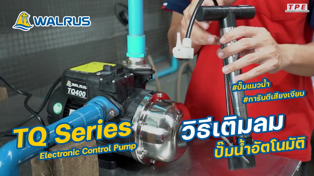ทริคดีดี กับ Walrus EP.19 วิธีการเติมลมปั๊มน้ำอัตโนมัติ รุ่น TQ200, TQ400, TQ800