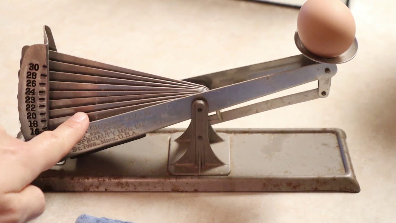 Using Great Grandma's Egg Scale | Antique Acme Egg Grading Scale