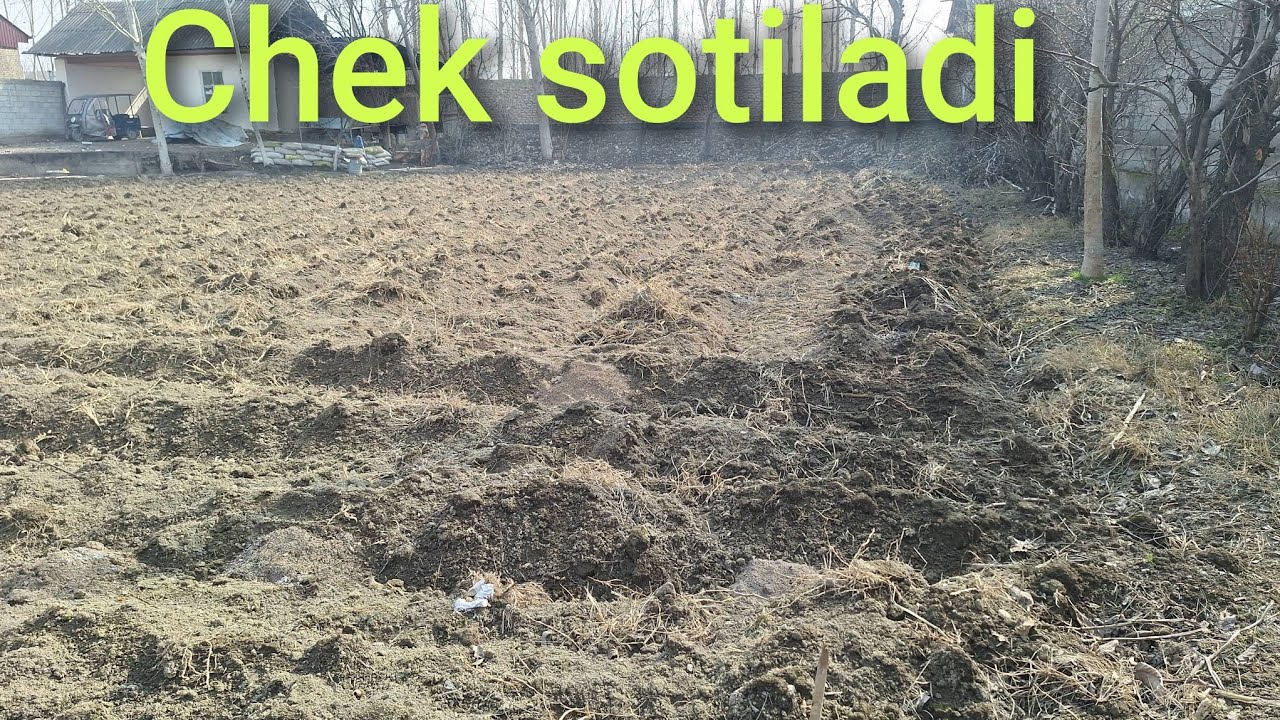Sotiladi chek 
