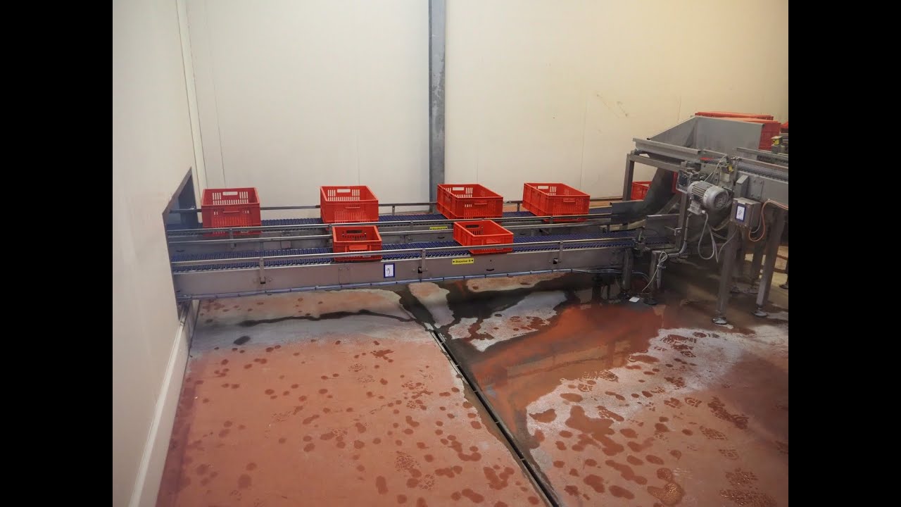 786-9: Viscon 90 &deg; curve conveyor with crate tipper