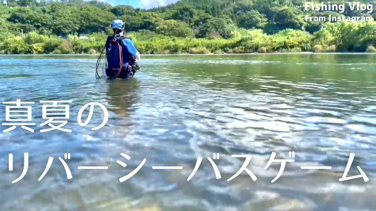 真夏の新潟河川に現れたランカーサイズ【リバーシーバスゲーム】